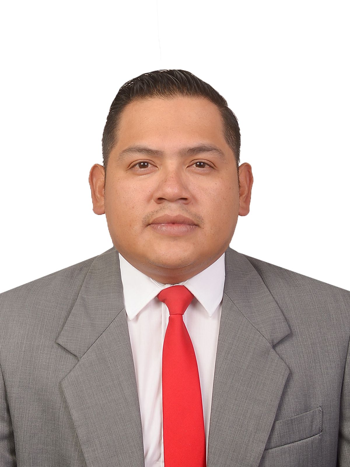 Ing. Mario Fernández Coeto